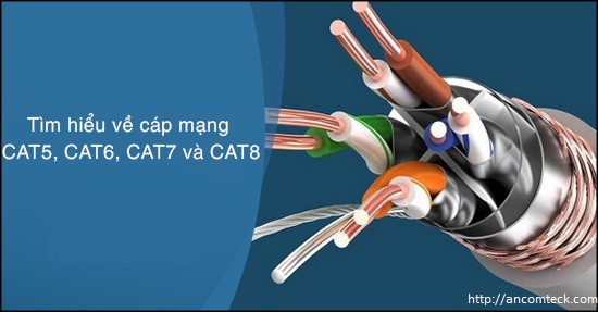 Tìm hiểu về cáp mạng CAT5, CAT6, CAT7 và CAT8